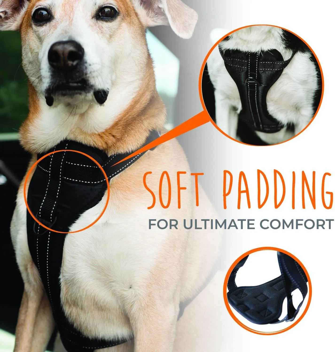 Adjustable Safety Harness for Dogs of All Sizes