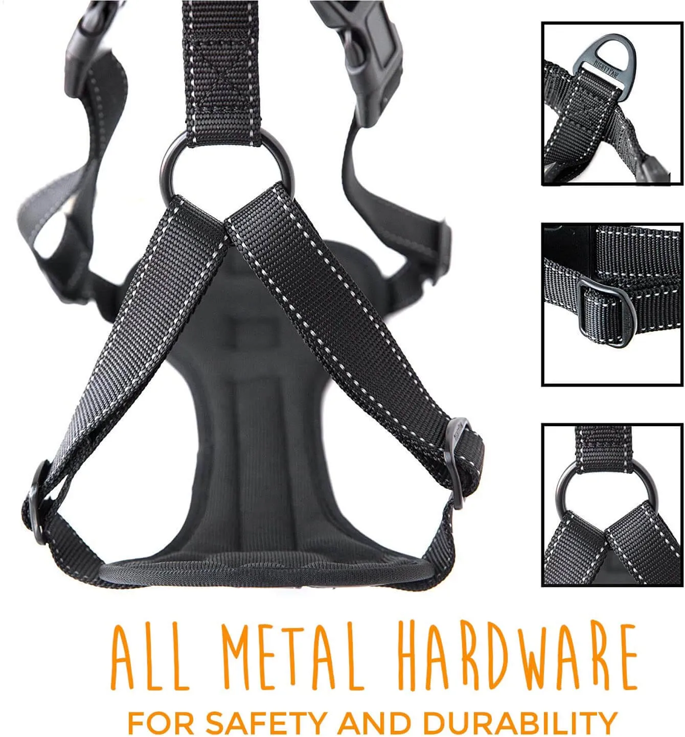 Adjustable Safety Harness for Dogs of All Sizes