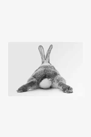 Bunny Bum Black White Frame A2 Print