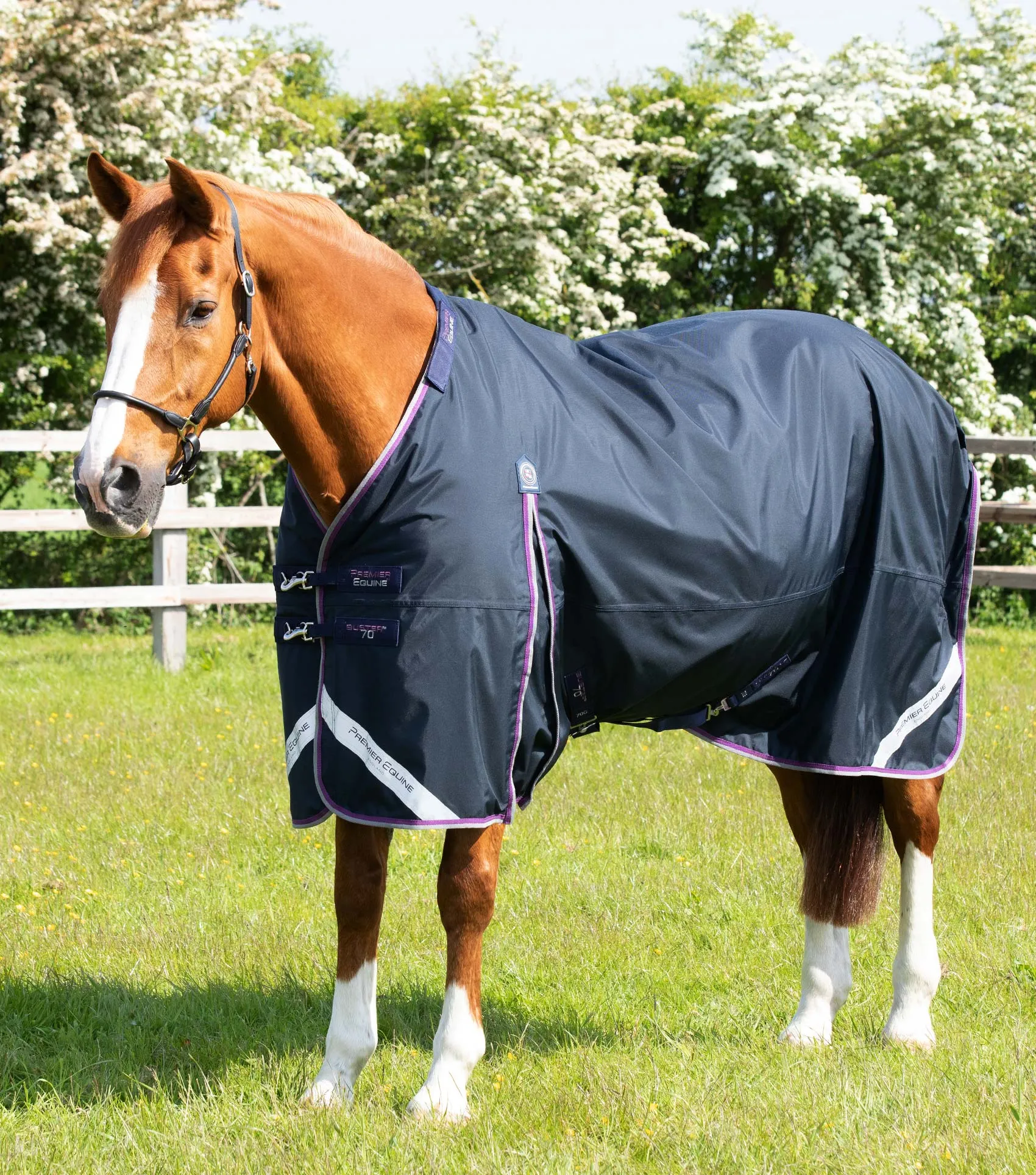 Buster 70g Turnout Rug with Classic Neck Cover Navy